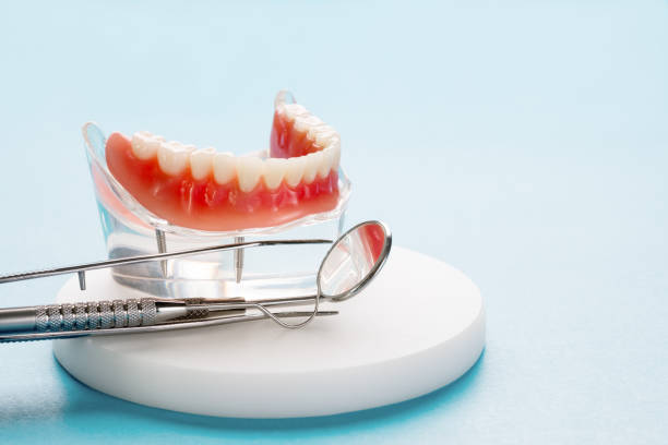 Best General Dentistry  in St Leo, FL